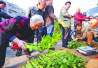湖北襄阳73岁卖菜老农向城管索秤后倒地身亡　警方调查