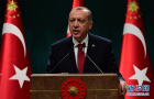 土耳其总统宣布提前大选