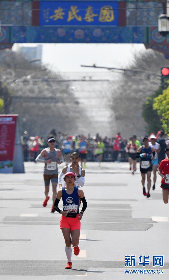 （体育）（6）马拉松——2019郑开国际马拉松赛开跑