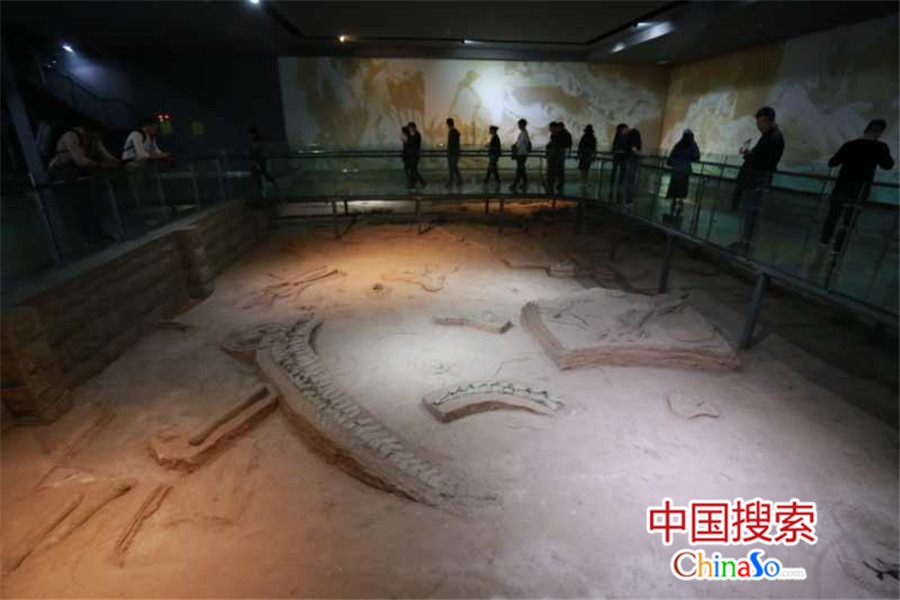 恐龙蛋遗址是目前世界上唯一的一个以恐龙蛋化石为主题的地下展馆，全长236米，投资近1100万，开挖土方30000多立方米，真实地展现了恐龙蛋化石的原始埋藏状态，重点保护发掘地的恐龙蛋化石，分为门厅、过厅、引洞、遗址一号洞、二号洞、天井、三号洞、疏散通道八大部分。