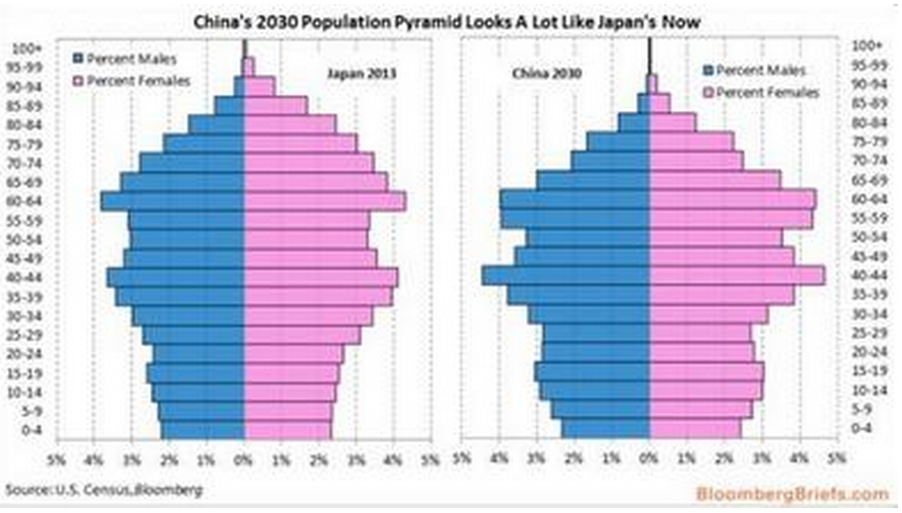 中国人口老龄化_2030中国人口