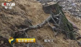 央视曝光：河南鲁山疯狂采砂致林地尽毁农田消失