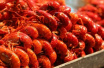 南京商家掘金世界杯　有店家15分钟卖了100万只小龙虾
