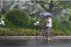 受台风“摩羯”影响　浙江全省暴雨面积达4万平方公里