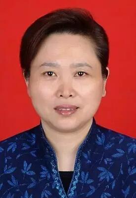 王艳玲任湖北省委宣传部部长 曾任河南省