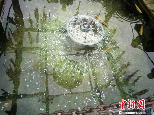 图为丽江市玉水寨景区内的许愿池。 钟欣 摄