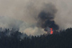 加拿大西部大火持续肆虐　已烧毁超百万公顷森林
