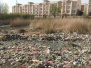 江苏连云港：市民公园变垃圾场，12名相关责任人被问责