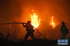 美加州南部突发林火　约27000人被迫撤离