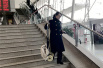 南京站另类“CEO”：专门处理遗失物　有滑板婴儿车