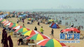 春节50万中国游客涌向泰日：巧遇情人节催热海岛游