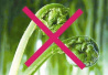 这些有关蔬菜的谣言又来了　安徽食药监提醒：别轻信！