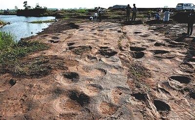 侏罗纪猜想证实山东郯城县发现300个恐龙足迹（图）