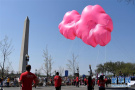 华盛顿举办樱花节游行