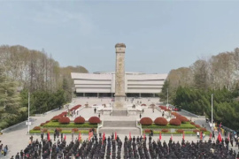 淮海戰役陳官莊紀念館清明節期間接待游客20萬人次