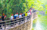 端午假期，安陽林州旅游接待人數、收入“雙增長”！